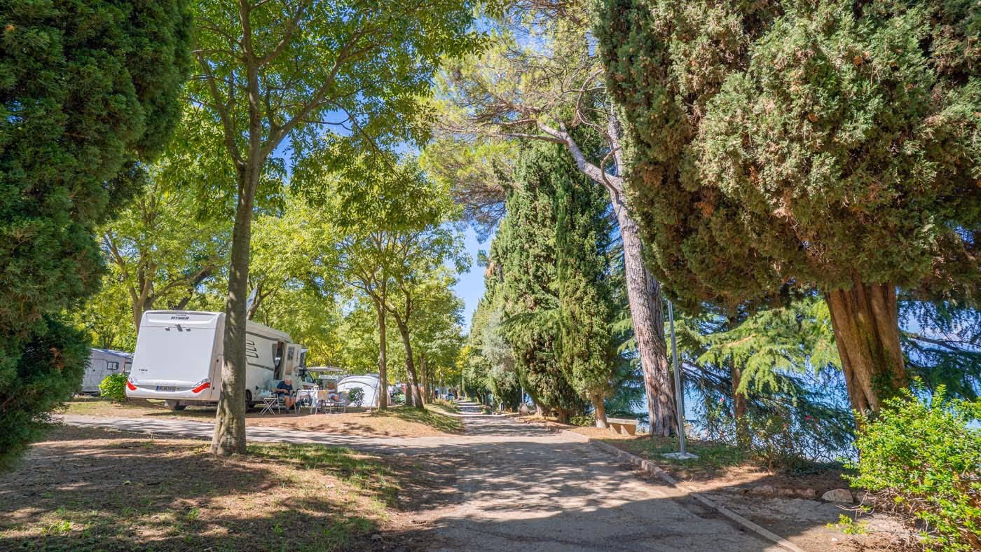 Caravan tussen oude bomen op Camping Bella Italia