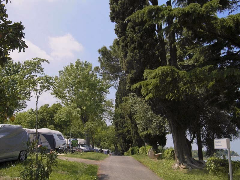 Kampeerplaatsen met caravans en tenten onder hoge bomen op Camping Bella Italia