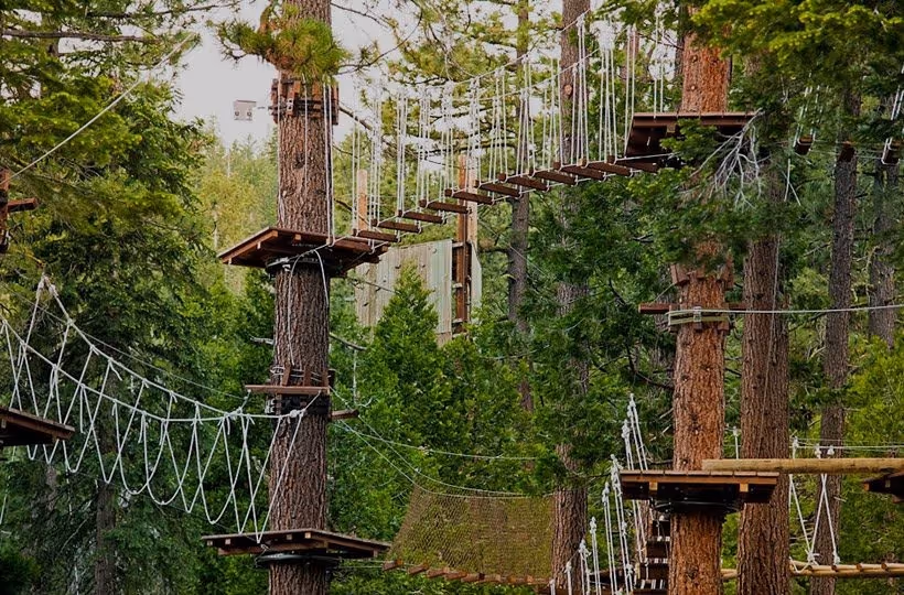 Klimparcours met touwbruggen tussen hoge bomen in Jungle Adventure Park bij het Gardameer