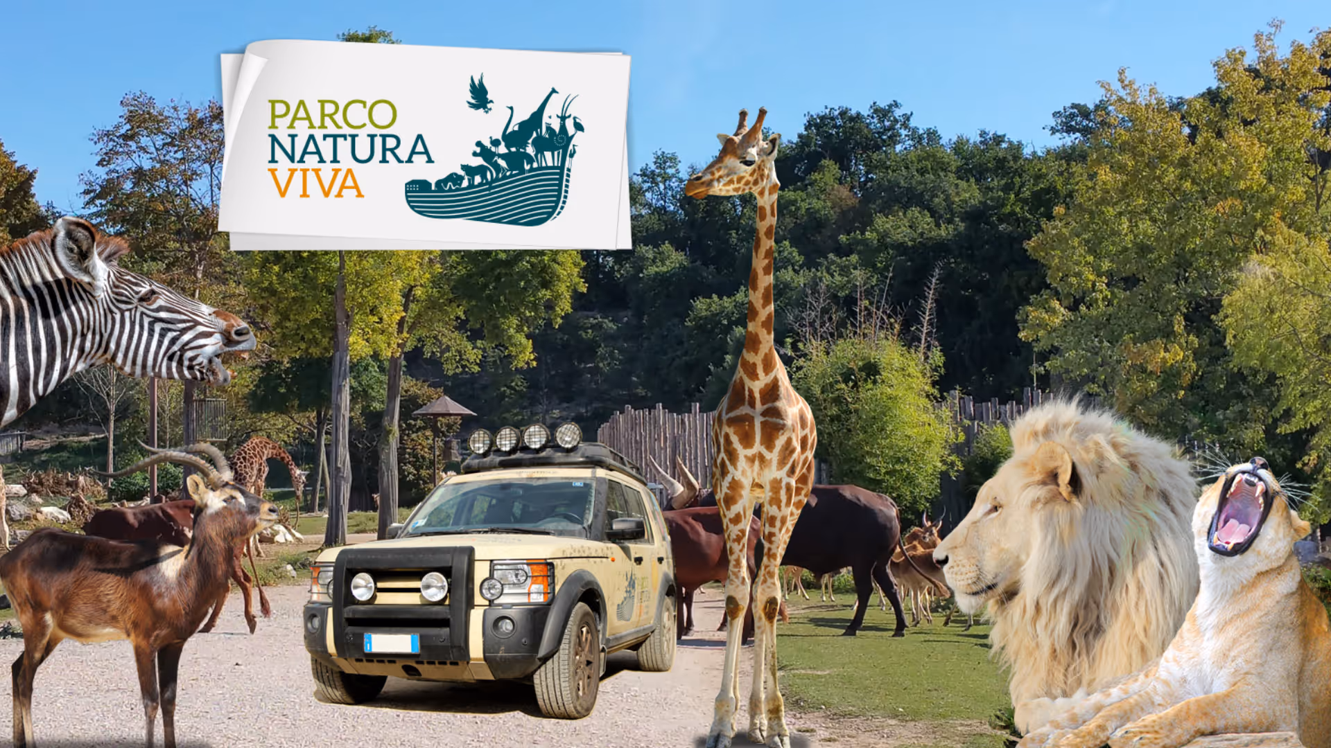 Dieren in safaripark Parco Natura Viva bij Bussolengo, een uitstapje vanaf Camping Bella Italia